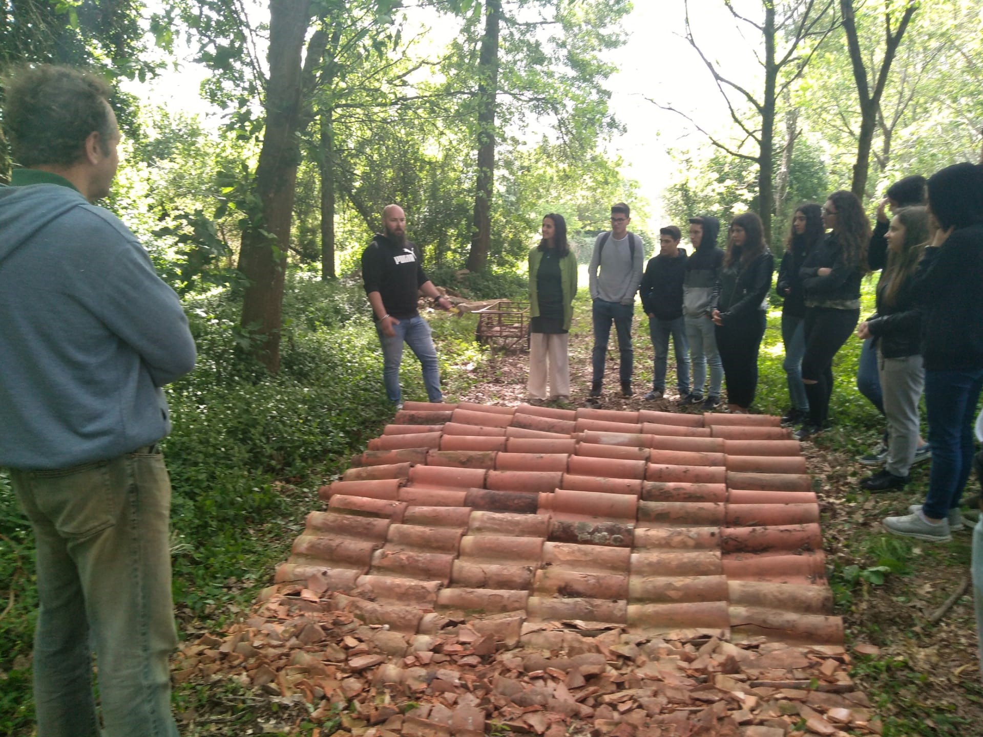 landart 4