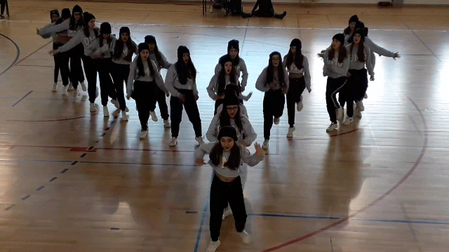 danca 1