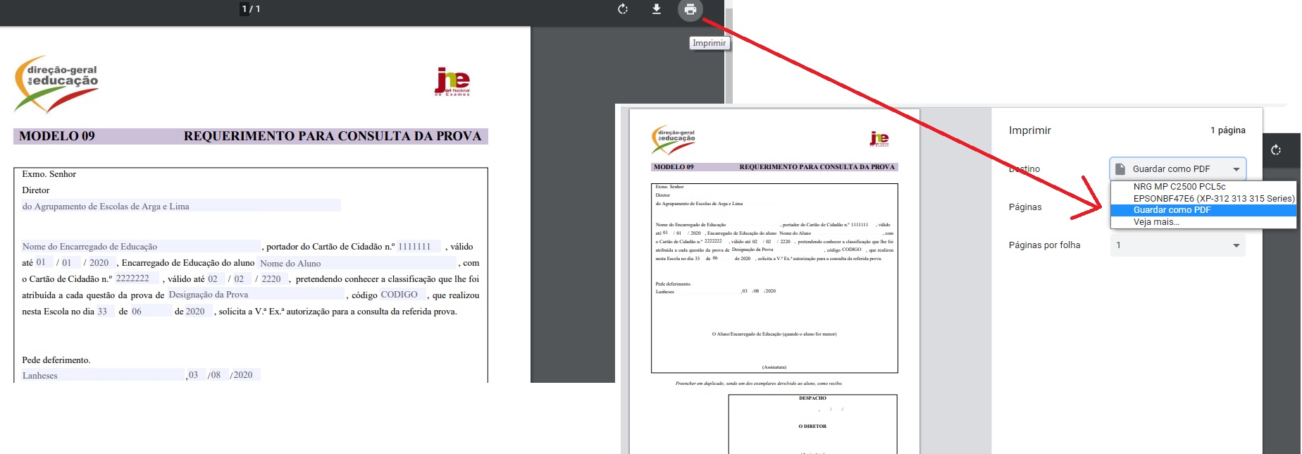 imprimir PDF