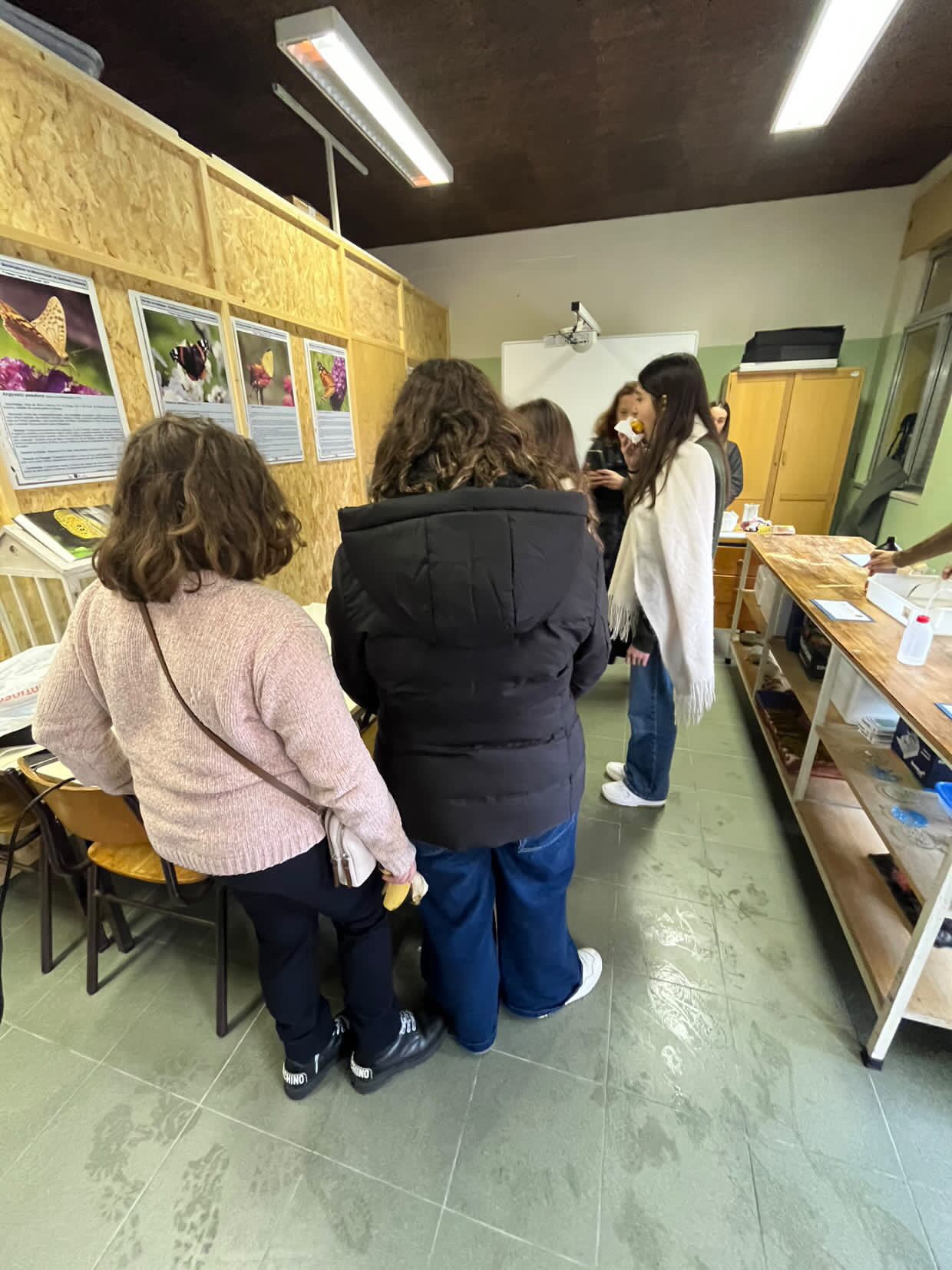 B5B152A5 7EF6 4872 95A6 2BADF8084184