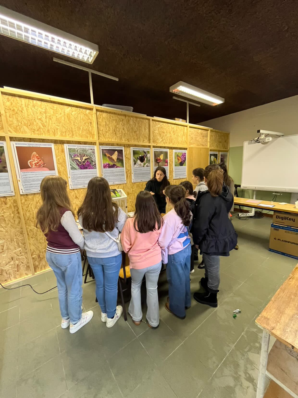 BEA55F7E 6611 41FB A557 3C3E03163FBF