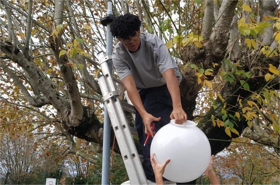 IMG 20251121 WA0013 Cópia