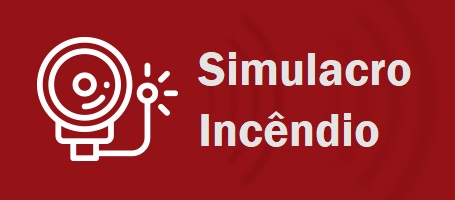 simulacro.jpg